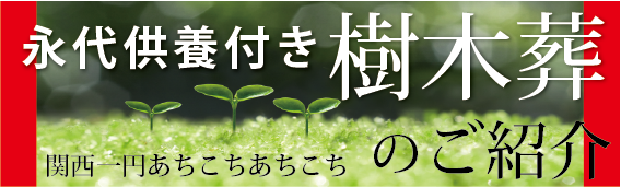 樹木葬永代供養が50,000円